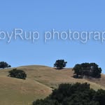 Abby - @abby_rup_photography - Instagram