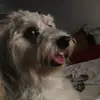 abby.ruppin - @abbyruppin - TikTok