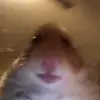 Abby Russo - @abbyrusso3 - TikTok