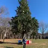 abbyrrusso - @abbyrrusso - TikTok