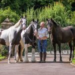 Abby Rutherford - @arutherford_eq - Instagram