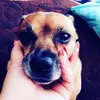 abbysaechao - @abbysaechao - TikTok