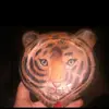 abby_salas123 - @abby_salas123 - TikTok