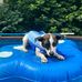 Abby Sampson - Facebook