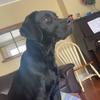 abby sams - @abbysamsxo - TikTok