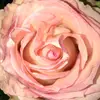Abby Sanstrom - @abbysanstrom - TikTok