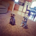 Abby And Sandy - @sandyandabby - Instagram