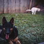 Sasha And Abby - @sasha_and_abby - Instagram