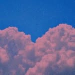 Charleen Runge - @abbysawatzki622 - Instagram