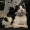 abby - @abbyschnerch - TikTok
