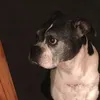 Abby Scheer - @abbyscheer - TikTok