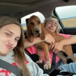 Abby Schick - @aschick05 - Instagram