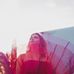 Abby Schiller - Facebook