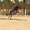ABBEY.SCHNARR_27 - @beret424146 - TikTok