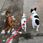 Abby-Schroeder-Klausi - @abbyschroederklausi - Instagram
