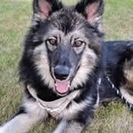 Abby Schuster - @olafsvan12 - Instagram