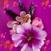 Abbey Schweitzer - Facebook