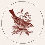 Abby | Crafty Sparrow Studio - @craftysparrowstudio - Instagram