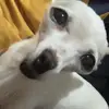 . - @speed.abby - TikTok