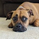 Abby Starr - @__abby__starr__ - Instagram