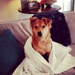 Abby Strong - @abby_girl_1 - Instagram