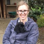 Abby Swartz - @abbymcham - Instagram