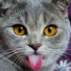 Abby_swift - @abby_swift - TikTok