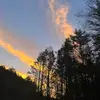 Abby🫶🏻⸆⸉ ོ - @abby.tobin13 - TikTok