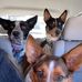 Abby McClelland - Facebook