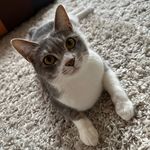 @abby_vineyard - Instagram