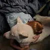 Abby Warren - @abby.warren20 - TikTok