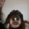 abbywatts - @abby_watts8 - TikTok