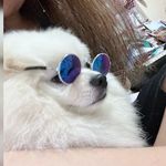 冬媽 - @abbywing_0503 - Instagram