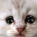 Abby Winn - Facebook