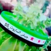 Abd Ahmad - @abdahmad13 - TikTok