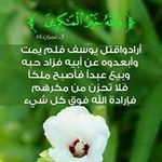 Abdallah Odeh - @odeh_abdallah - Instagram