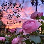 Mohamed Abdelawad - @abdelawadmohamed - Instagram