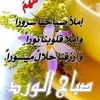 Mohamed Abdelawad - @mohamed.abdelawad - TikTok