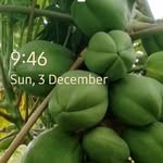 Abdi Mahmud - @abdimahmud8 - Instagram