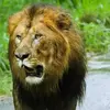 gama'diid_ma naxe - @abdi.mahmud - TikTok