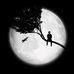Abdi Samad - Facebook
