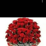 Abdilahi Adan Nuur - @abdilahi.adancade.9 - Instagram