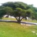 Abdirizak Farah - Facebook