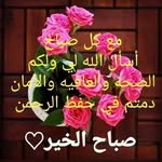 Abdisalan Ali - @aliabdisalan713 - Instagram