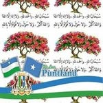 Abdisalan Ali Farah - @abdisalanalifarah - Instagram
