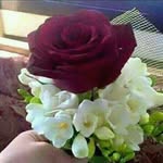 Abdo Alhyan - @aalhian1234 - Instagram