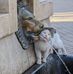 Abdo Ben - Facebook