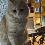 Abdo Ghaleb - @abdokhaled358 - Instagram
