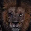 Ghazali abdo - @ghazaliabdo10 - TikTok