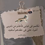 Abdo Halawa - @halawa2490 - Instagram